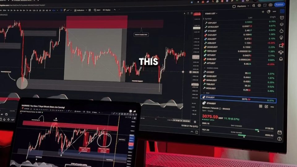 Should You Pursue a Career in Trading? Profit or Loss – Is Trading the Right Path?