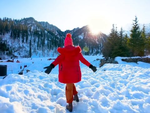 Discovering the Charms of Manali: A Journey into Nature's Embrace