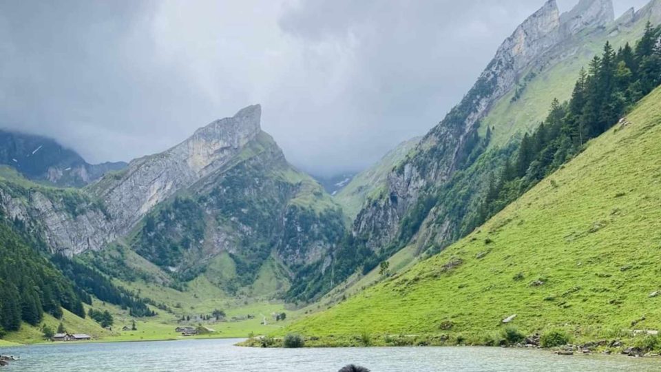 Discovering Zurich: A Complete Guide for Travelers