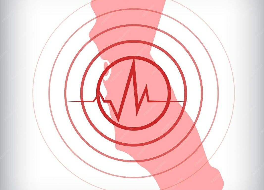 Japan Hit by Strong 7.2 Magnitude Earthquake as Tsunami Alerts Issued